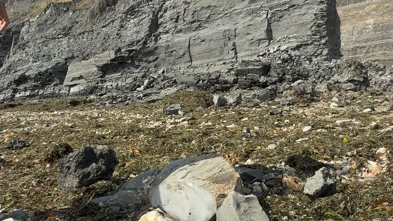 Cliff Fall in Dorset Nearly Hits Man