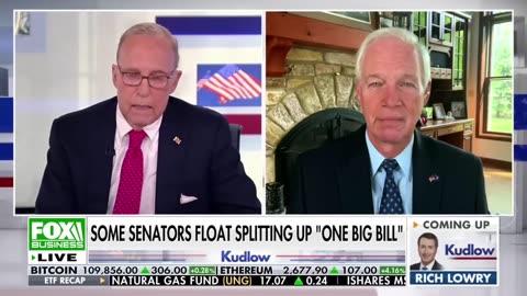 Republican leaders advise Trump to "embrace a smaller, beautiful bill."
