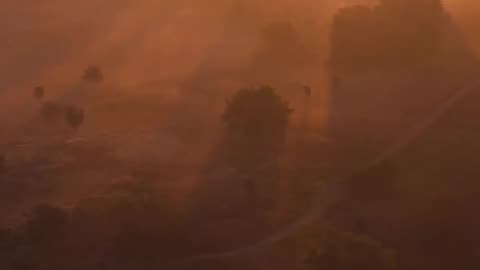 Daily Horoscope | Leo 🌟