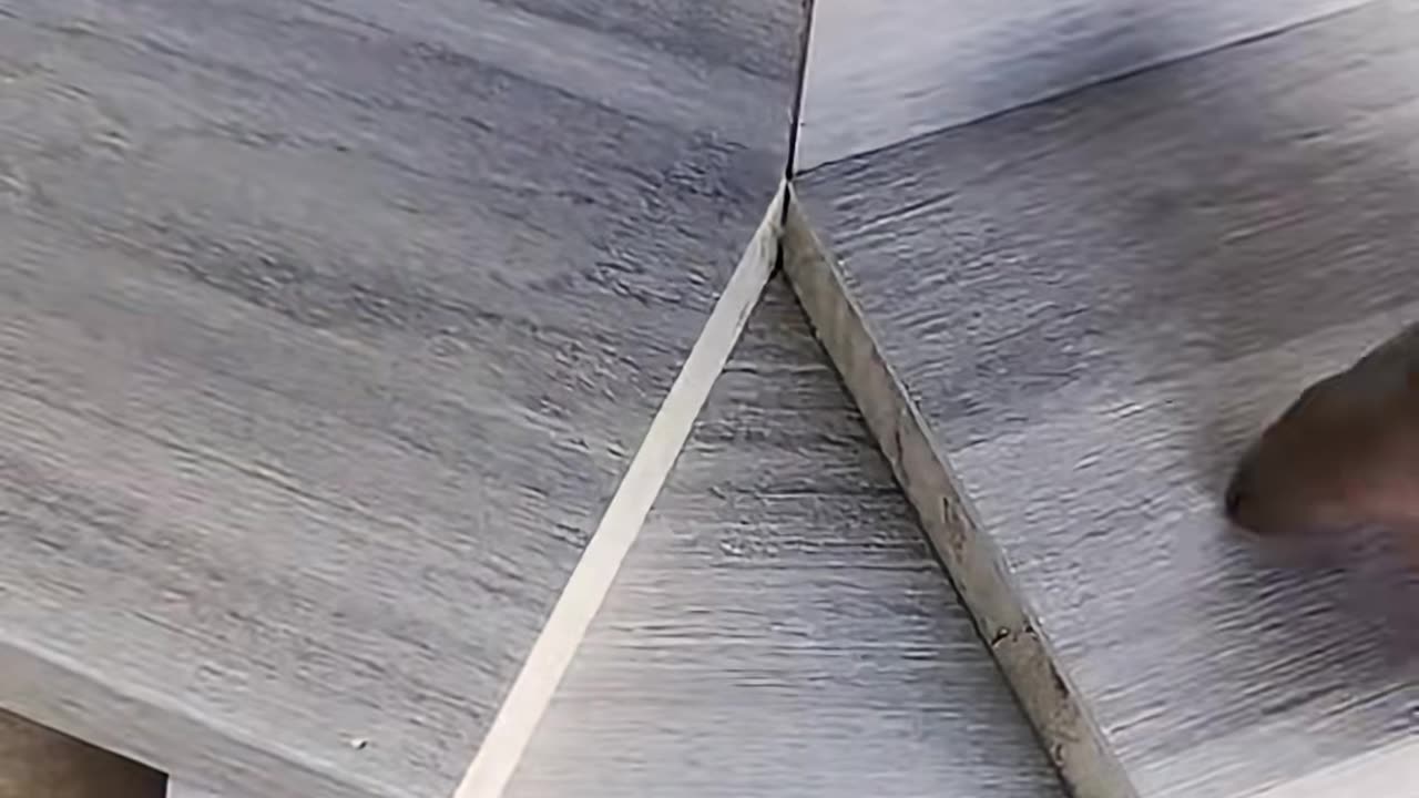 🤯👍 You've Been Doing This Wrong! | LifeHacksDaily