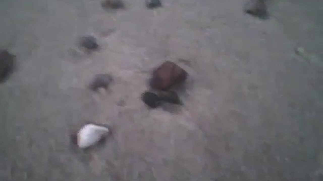 Observing the shellfish shells, rocks and other objects on the beach sand at dusk [Nature & Animals]