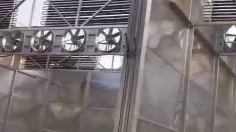 The wood drying room