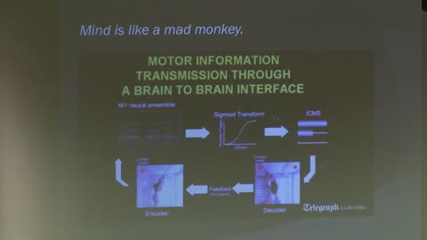 Dr Charles Morgan Psycho-Neurobiology and War