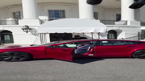 Trump and Musk |Doing Ads for Tesla at the White House