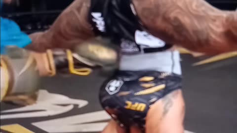 Interesting mma training