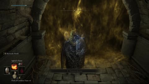 Elden Ring NG+1 | Erdtree Burial Watchdog of Stormfoot Catacombs boss solo #eldenring #shorts