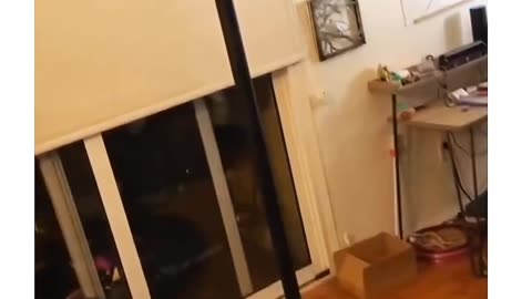 The Ending, Pure Comedy Gold 😂🤣