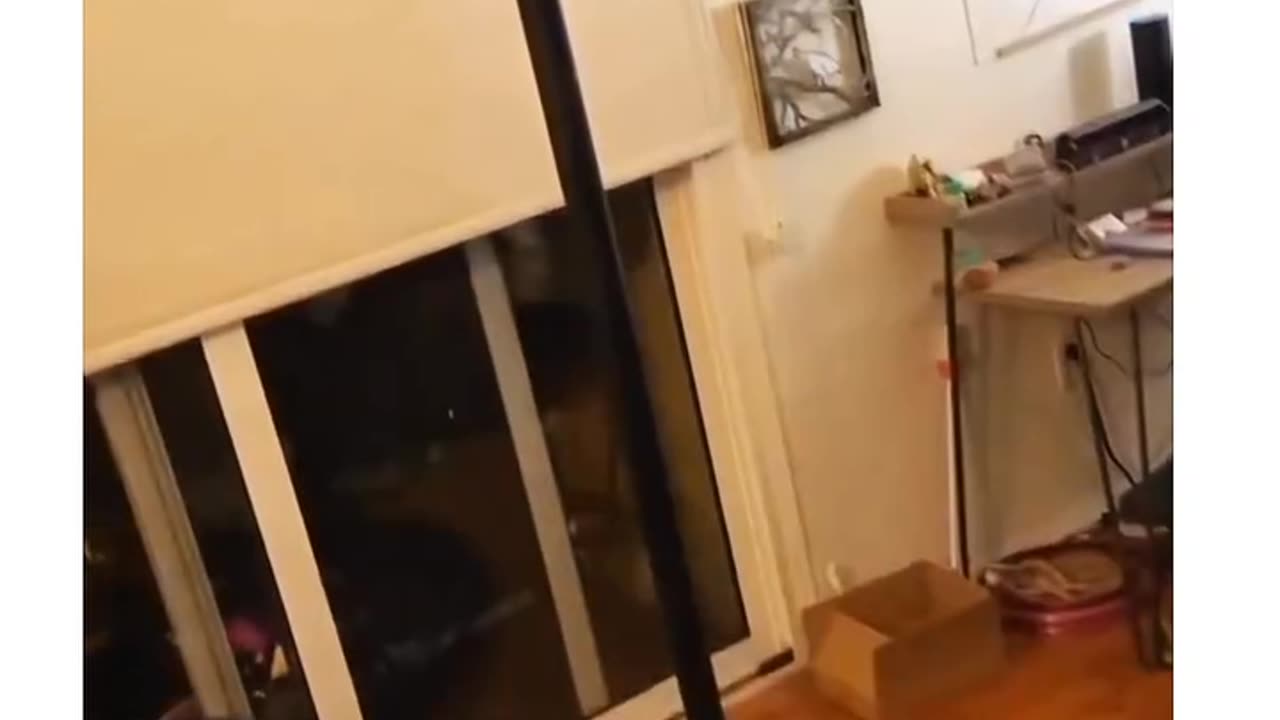 The Ending, Pure Comedy Gold 😂🤣