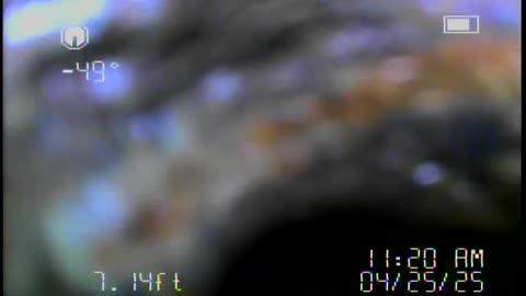 Carolina Sewer Scope