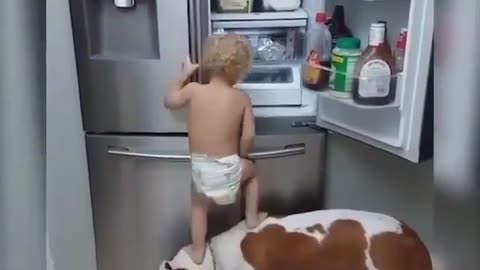 Fun Animals