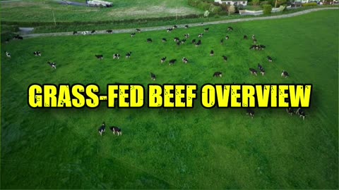 Beef Battle: Grain-Fed vs. Grass-Fed - Which is BEST