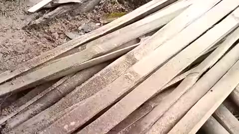 Solo bushcraft and camping HAevy Rain building PLASTIC WRAP DURIN