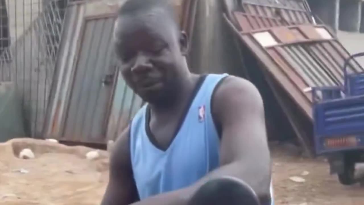 Poor dog friend. Trump is right.