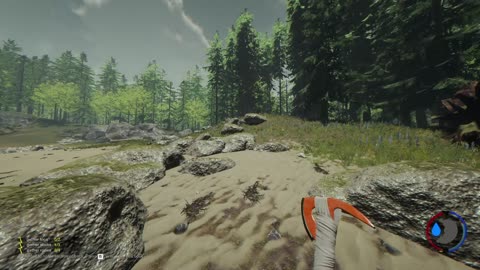 The Forest Wersja 2016