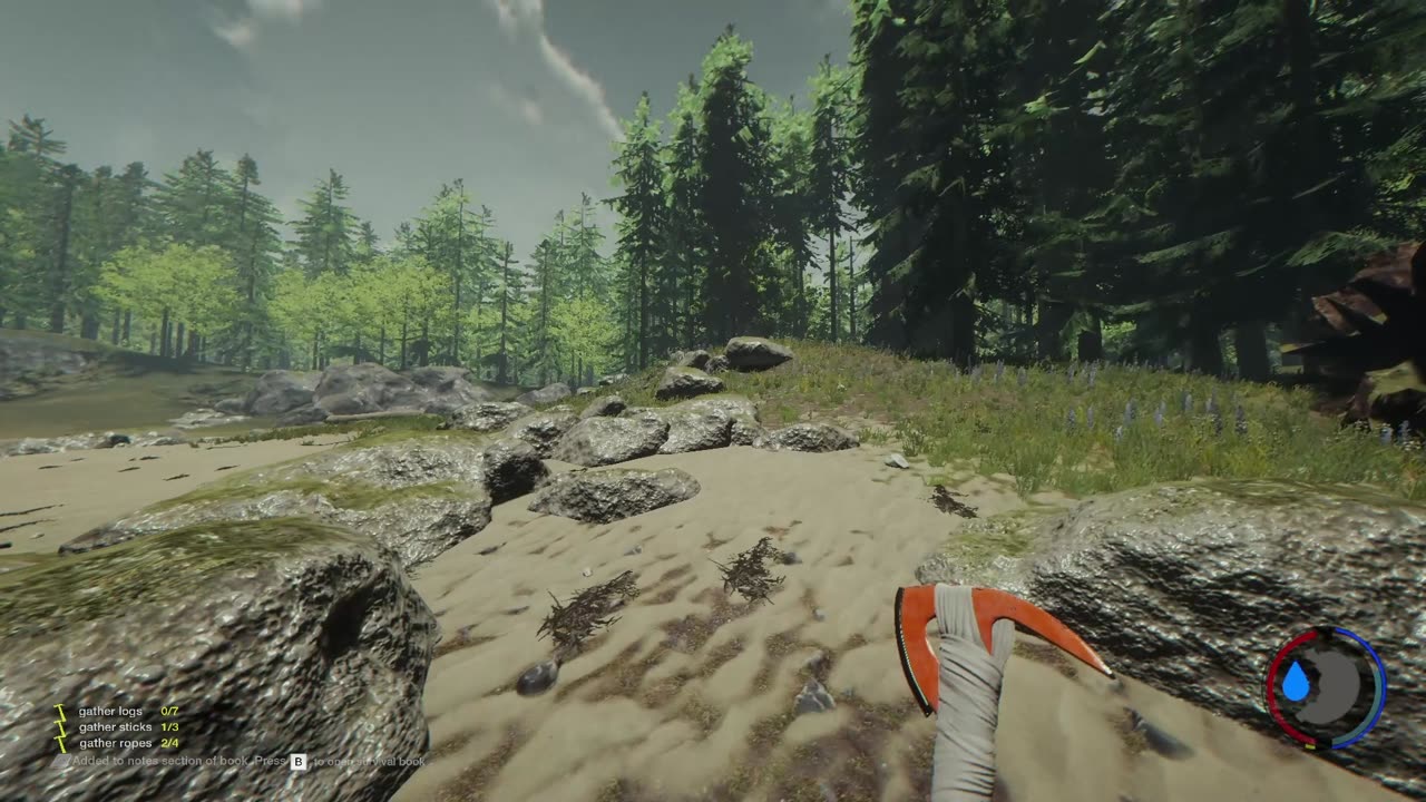 The Forest Wersja 2016