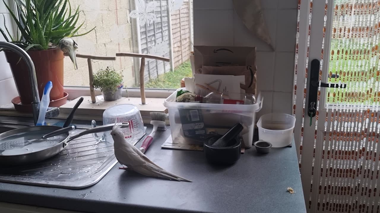 Tiels on Kitchen Chores