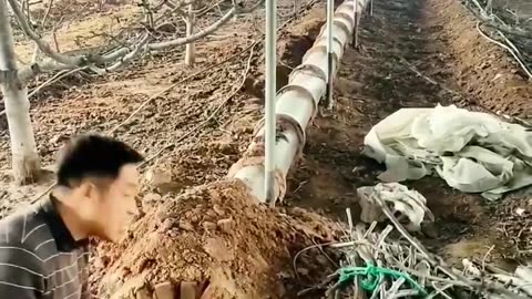 Warm the greenhouse گرم کردن گلخانه