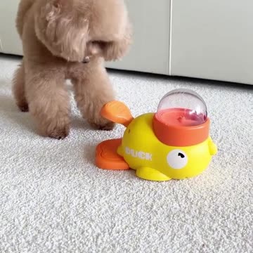 These Dogs Are So Cute