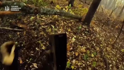 Incredible Raid On Russian Positions in Lyman