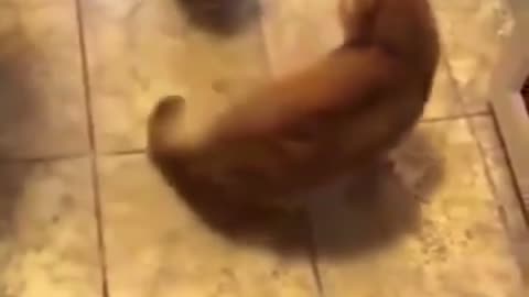🤣👊 Garfield Jr's EPIC Comeback Against Iron Mike! | FCN