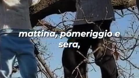 Ultime generazioni di omo sapiens