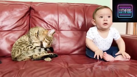 Some Cats Love Babies