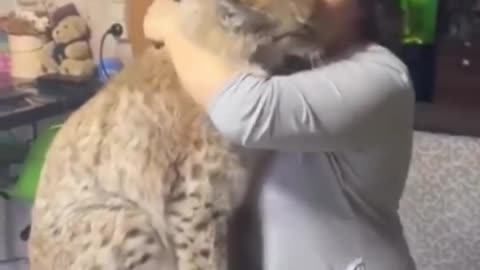 ❤❤❤