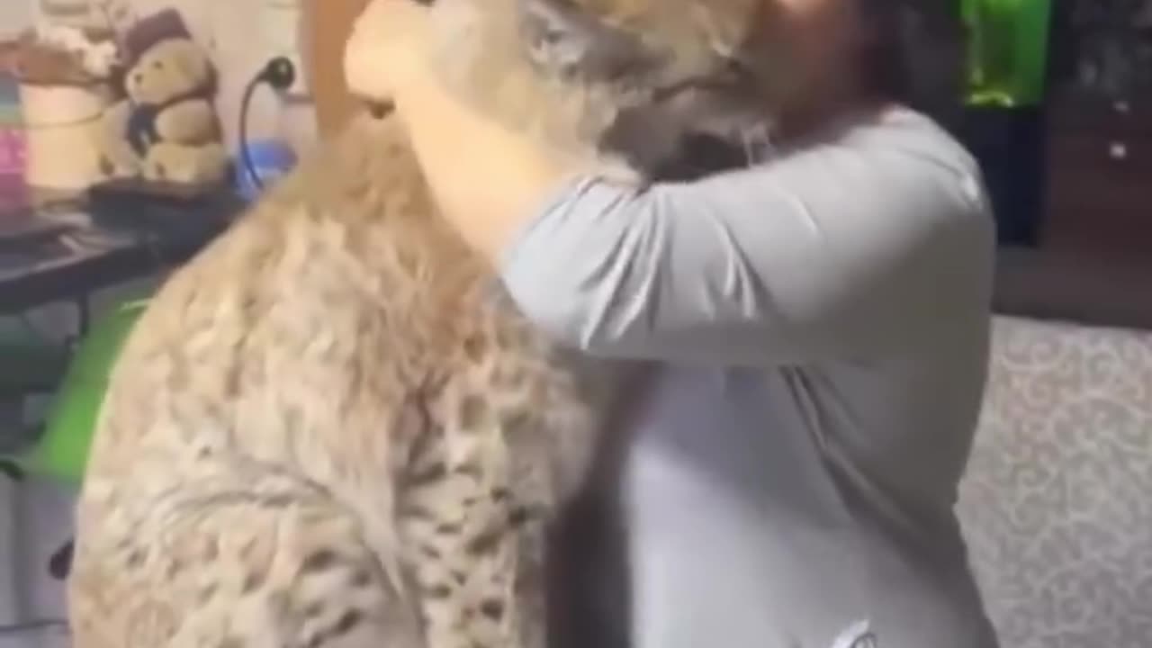 ❤❤❤