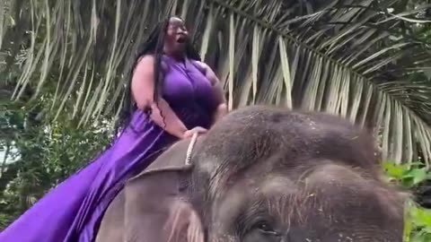 Poor elephant.