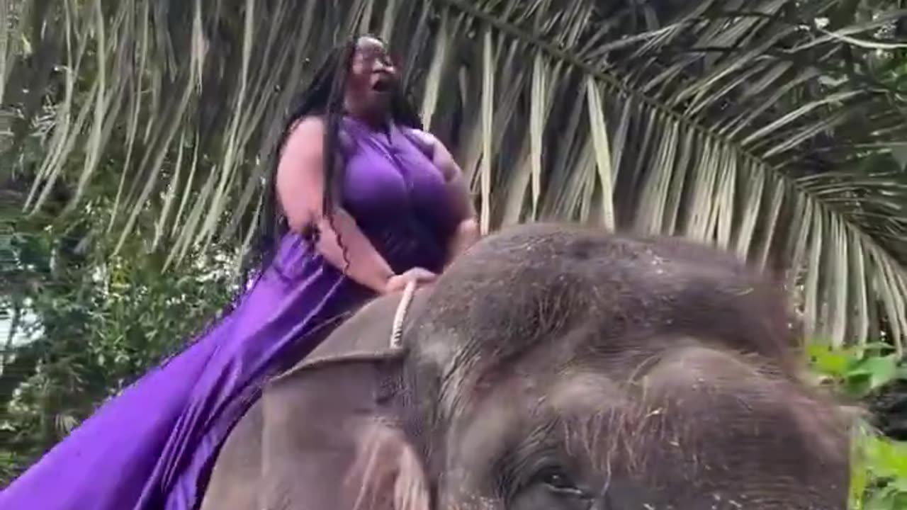 Poor elephant.