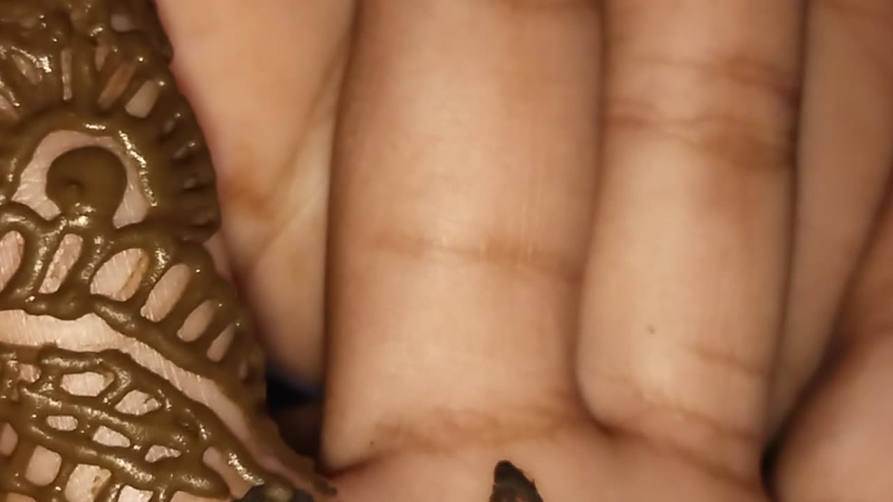 মেহেদী