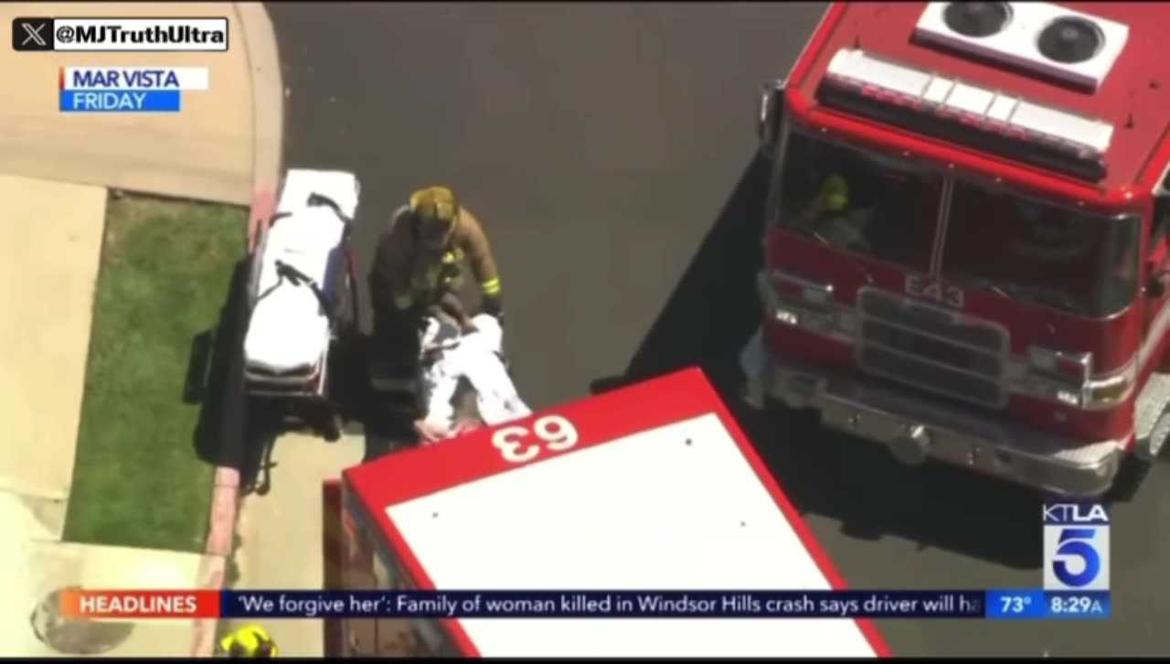 Anne Heche died on August 11, 2022, following a severe car crash in Los Angeles on August 5, 2022