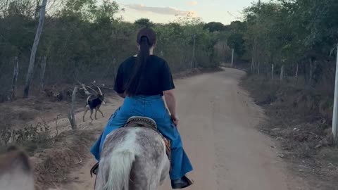 Spooked Horse Almost Falls With Rider