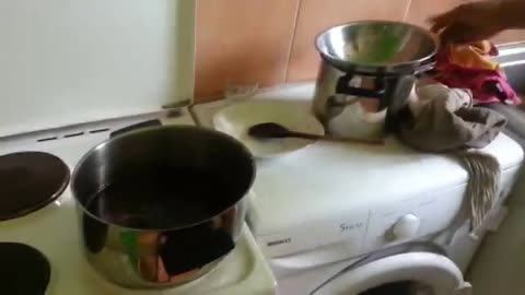 Ayahuasca preparation