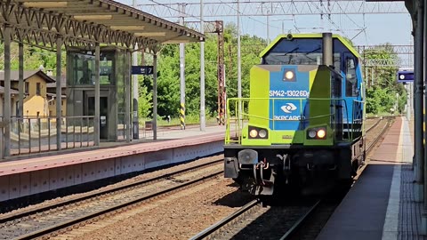 SM42-13026Dg