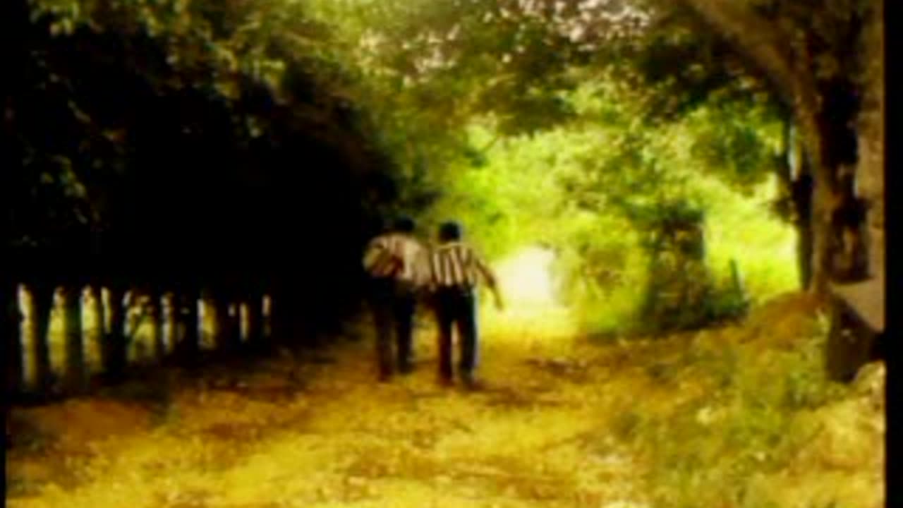 L.Diablitos-Los Caminos de la vida
