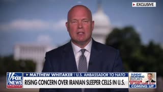 Ambassador to NATO, Matthew Whitaker