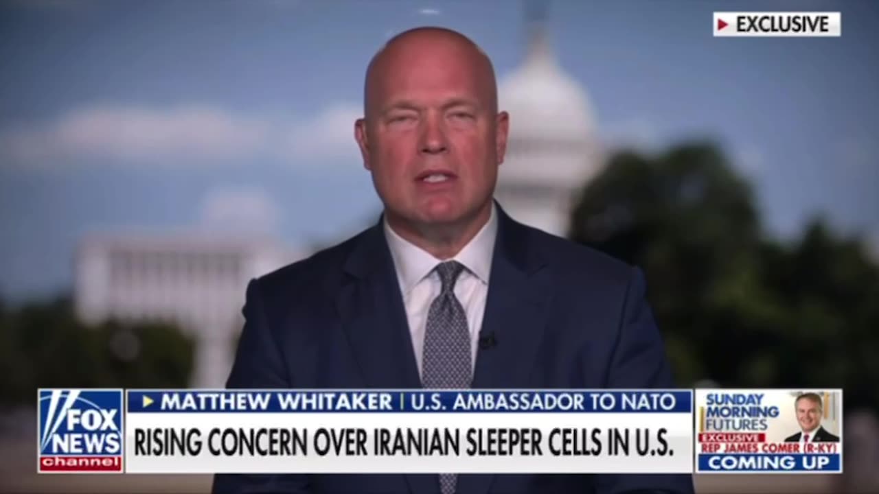 Ambassador to NATO, Matthew Whitaker