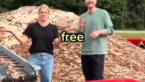 coin mountain