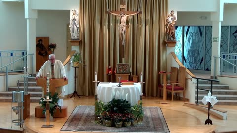 Homily for the 5th Sunday of Easter "C"