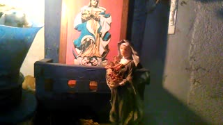 Cuarto Día de la Novena a Santa Teresita Del Niño Jesús - 25 de setiembre