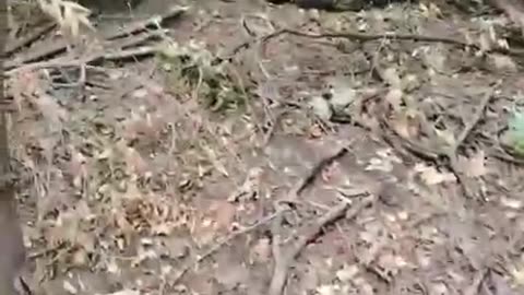 Ukraine war combat footage 9/6/25