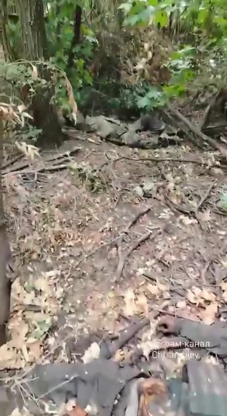 Ukraine war combat footage 9/6/25