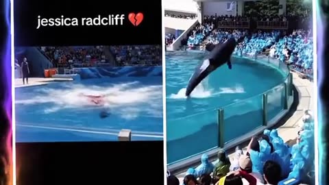 Dolphin attack