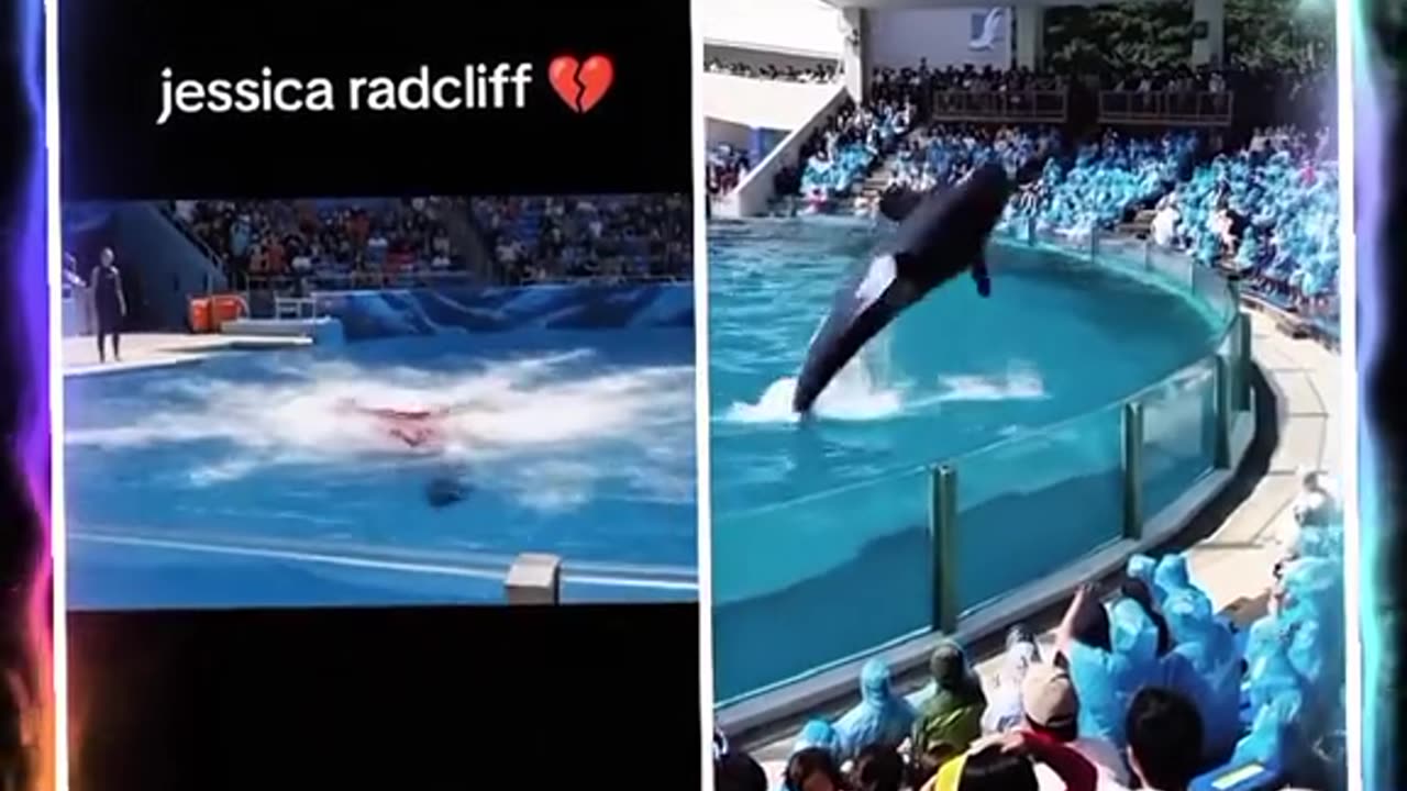 Dolphin attack