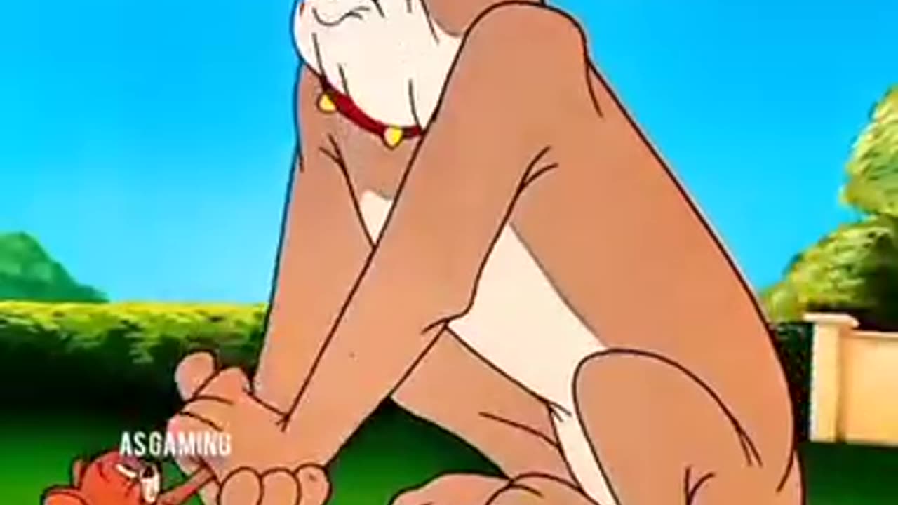 Tom and jarry funny vidieo