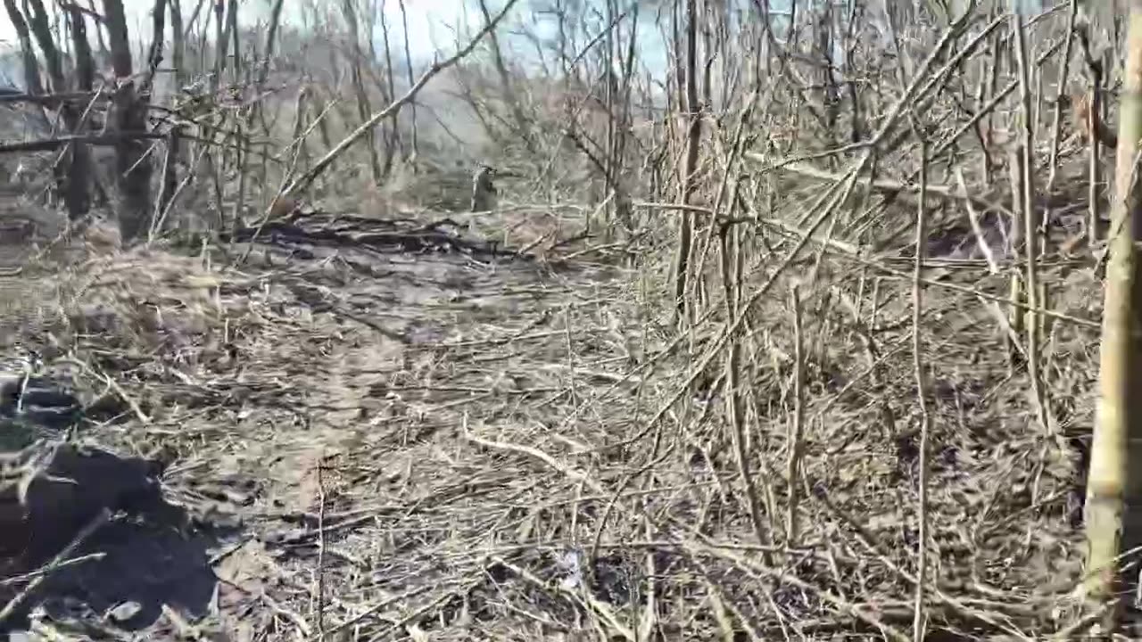 Ukraine war 3/31/25 kursk