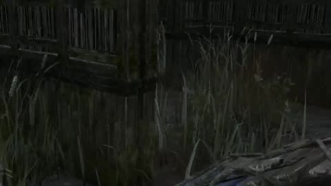 Dracula Hunts