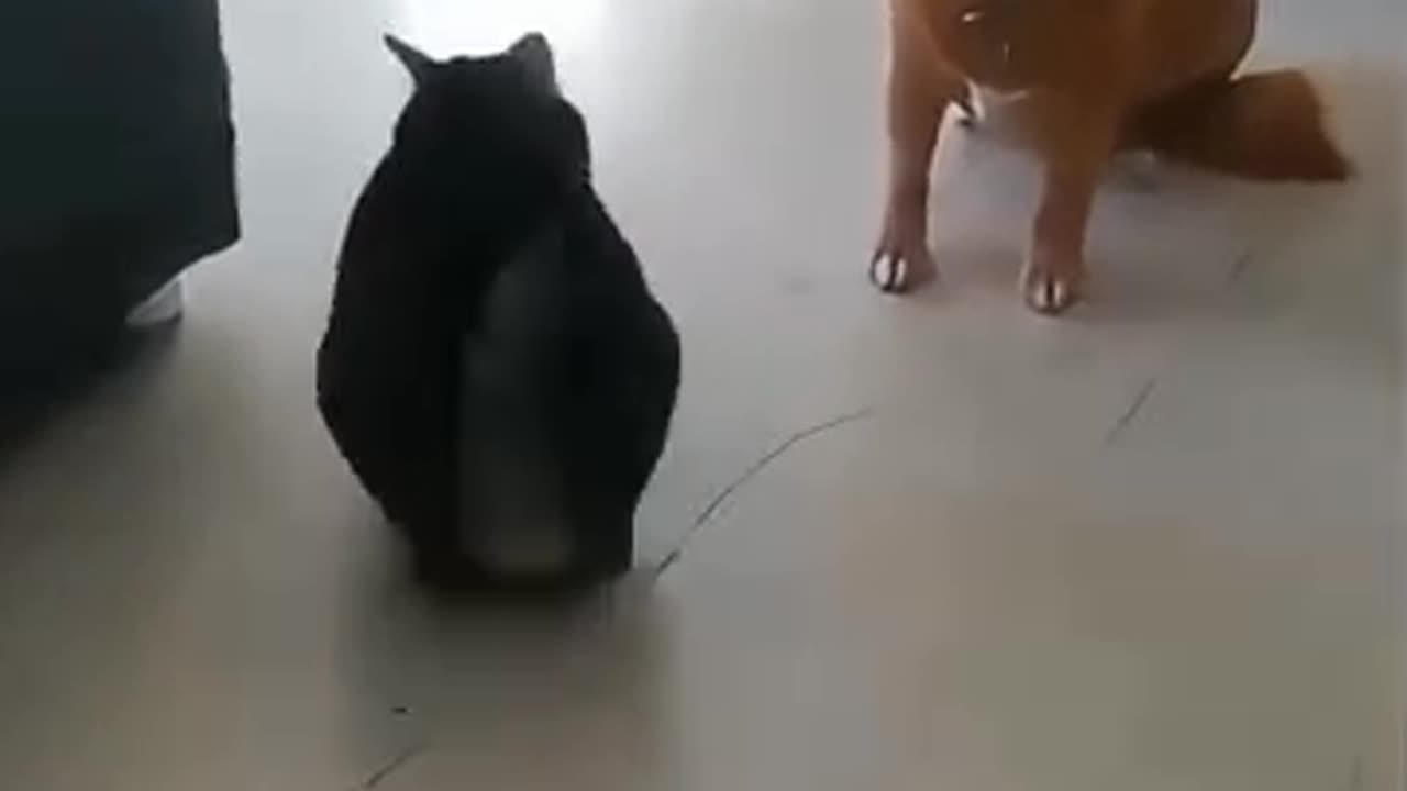 Play together