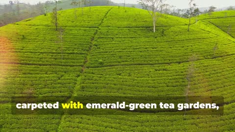 Top 10 Amazing Things About Bangladesh! 2025